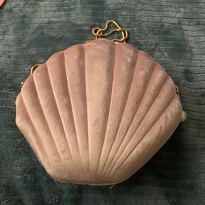 Purse shell on purple